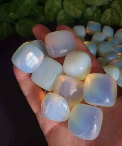 OPALITE TUMBLES