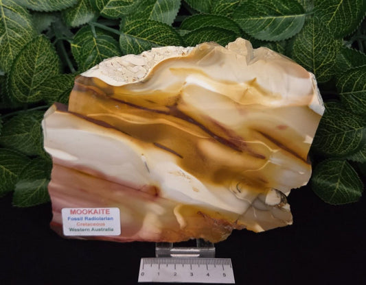 MOOKAITE SLAB