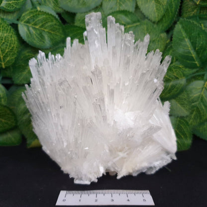 SCOLECITE CLUSTER