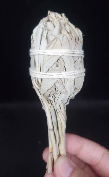 WHITE SAGE TORCH