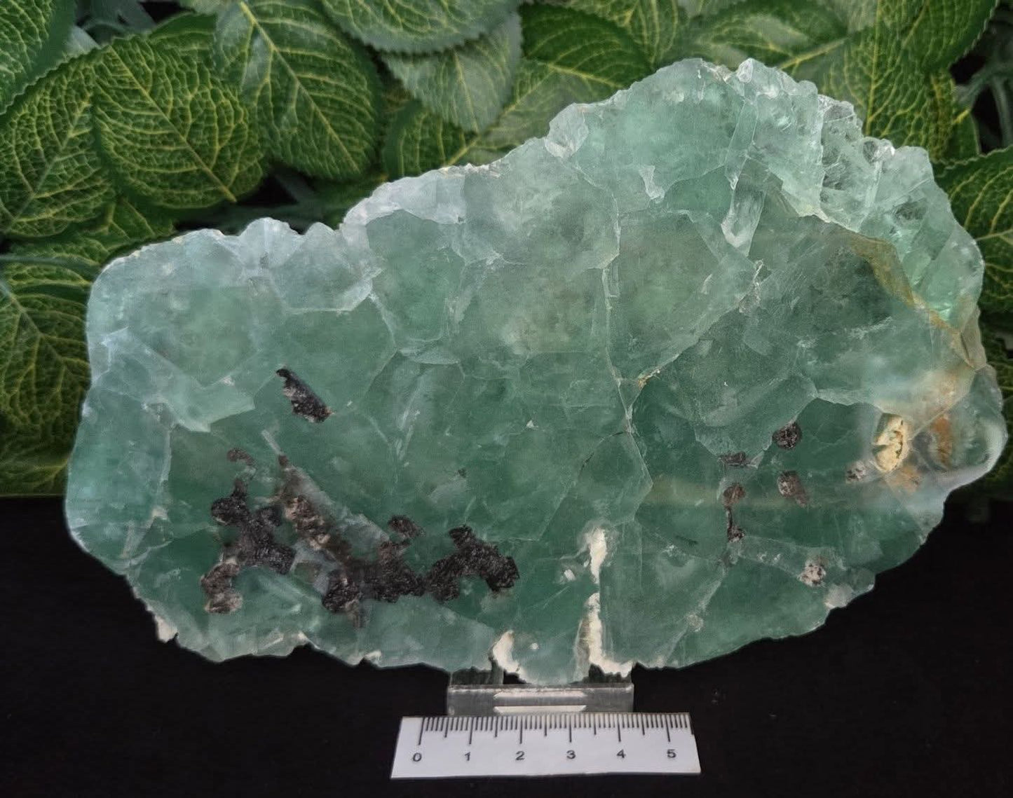 FLUORITE POLISHED FACE SLAB