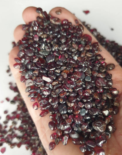 GARNET CHIPS