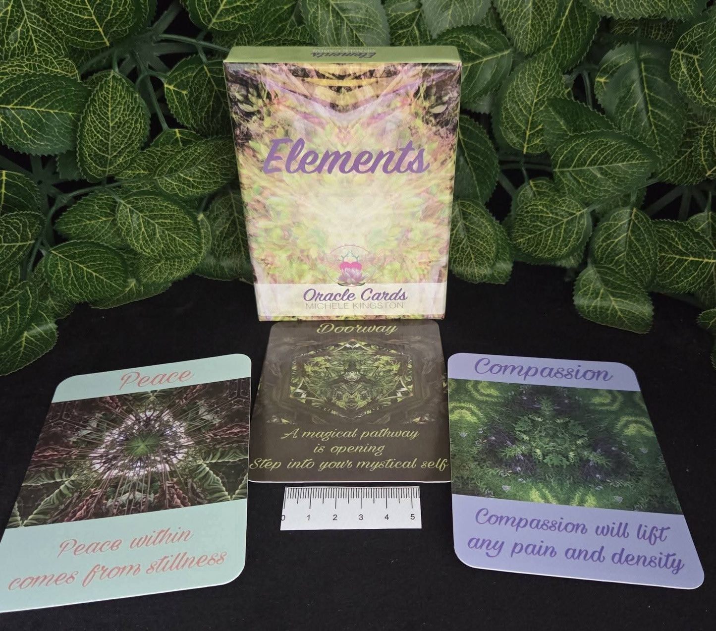 CLEANSE PACK 6