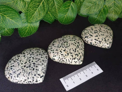 DALMATIAN JASPER HEARTS