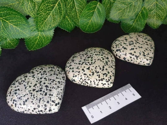 DALMATIAN JASPER HEARTS