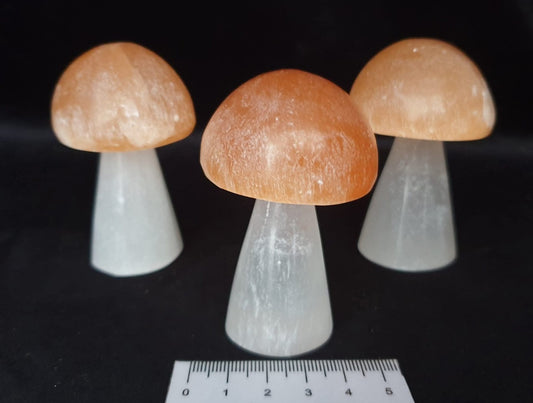 PEACH TOP SELENITE MUSHROOMS