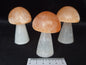 PEACH TOP SELENITE MUSHROOMS