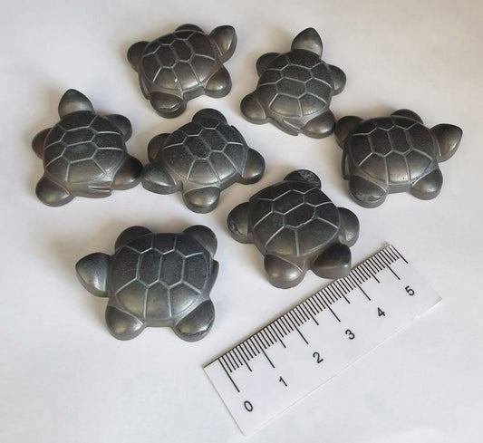 HEMATITE TURTLES