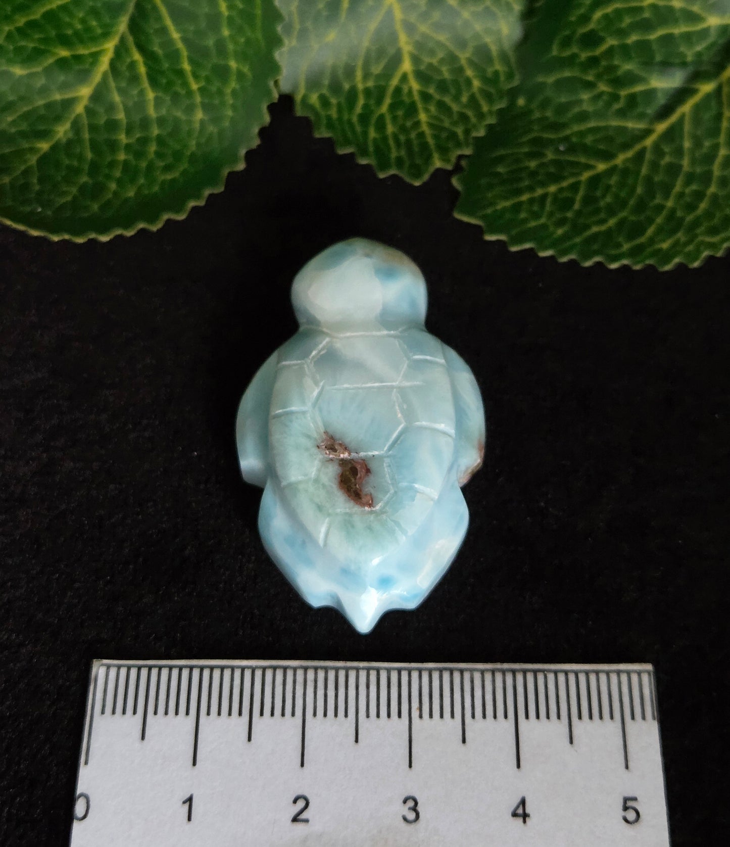 LARIMAR TURTLE