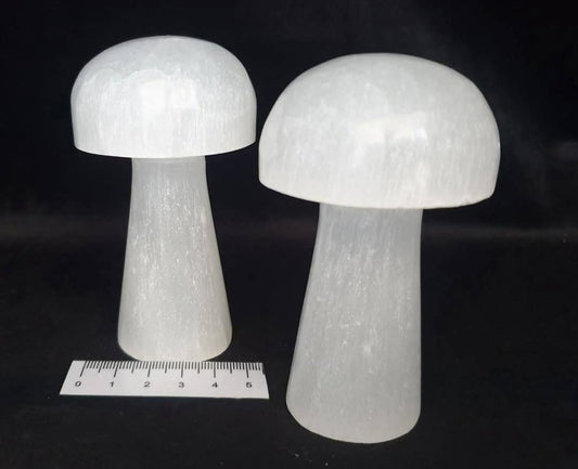 SELENITE MUSHROOMS