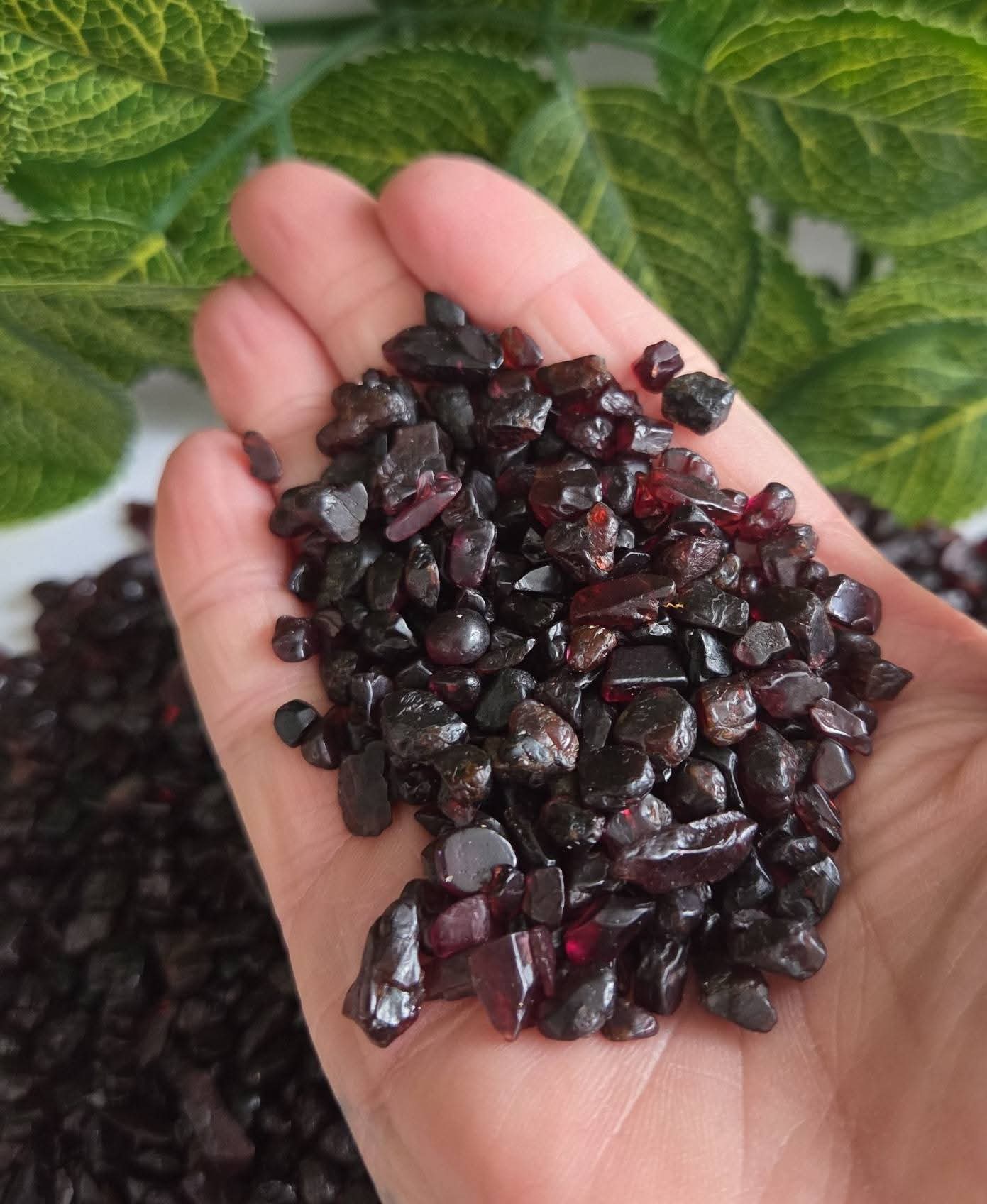 GARNET CHIPS