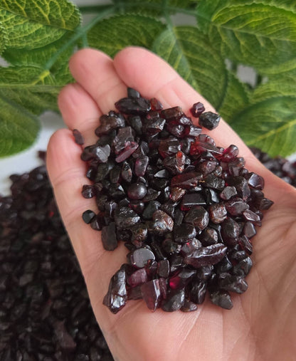GARNET CHIPS