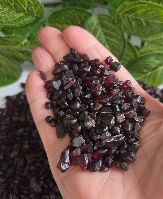 GARNET CHIPS