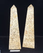 FOSSIL CORAL TOWER 10INCH