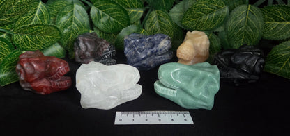 ASSORTED DINOSAUR SKULLS