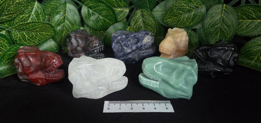 ASSORTED DINOSAUR SKULLS