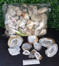 CUT GEODES - BULK BAG