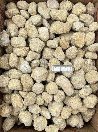 SMALL MOROCCAN GEODES - (UNBROKEN) BULK BUY 15KGS
