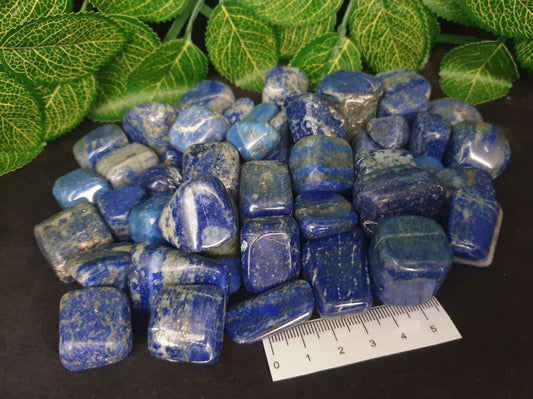 LAPIS LAZULI TUMBLES