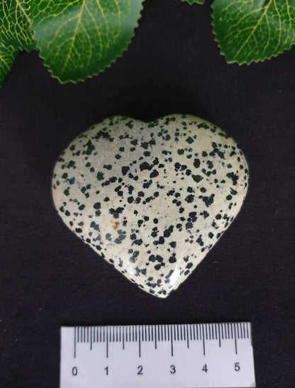 DALMATIAN JASPER HEARTS