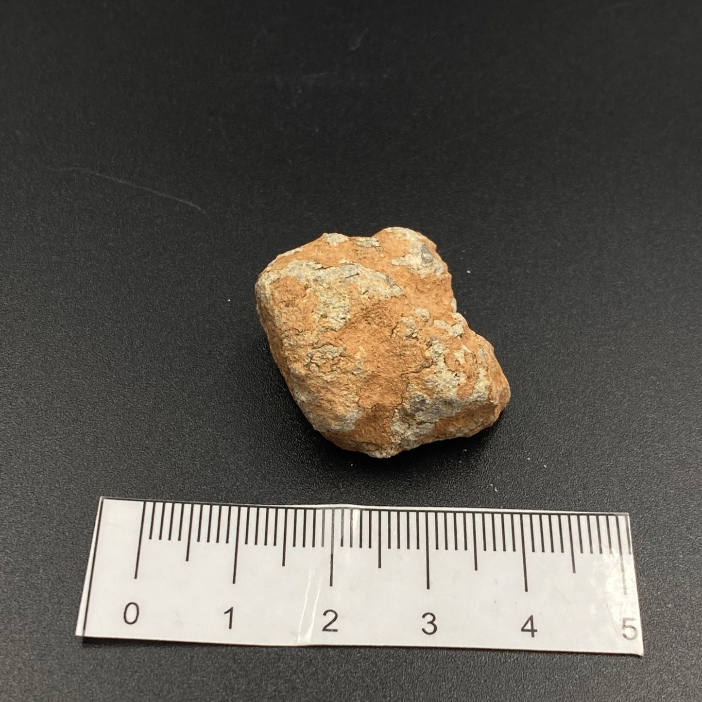 Lunar Meteorite