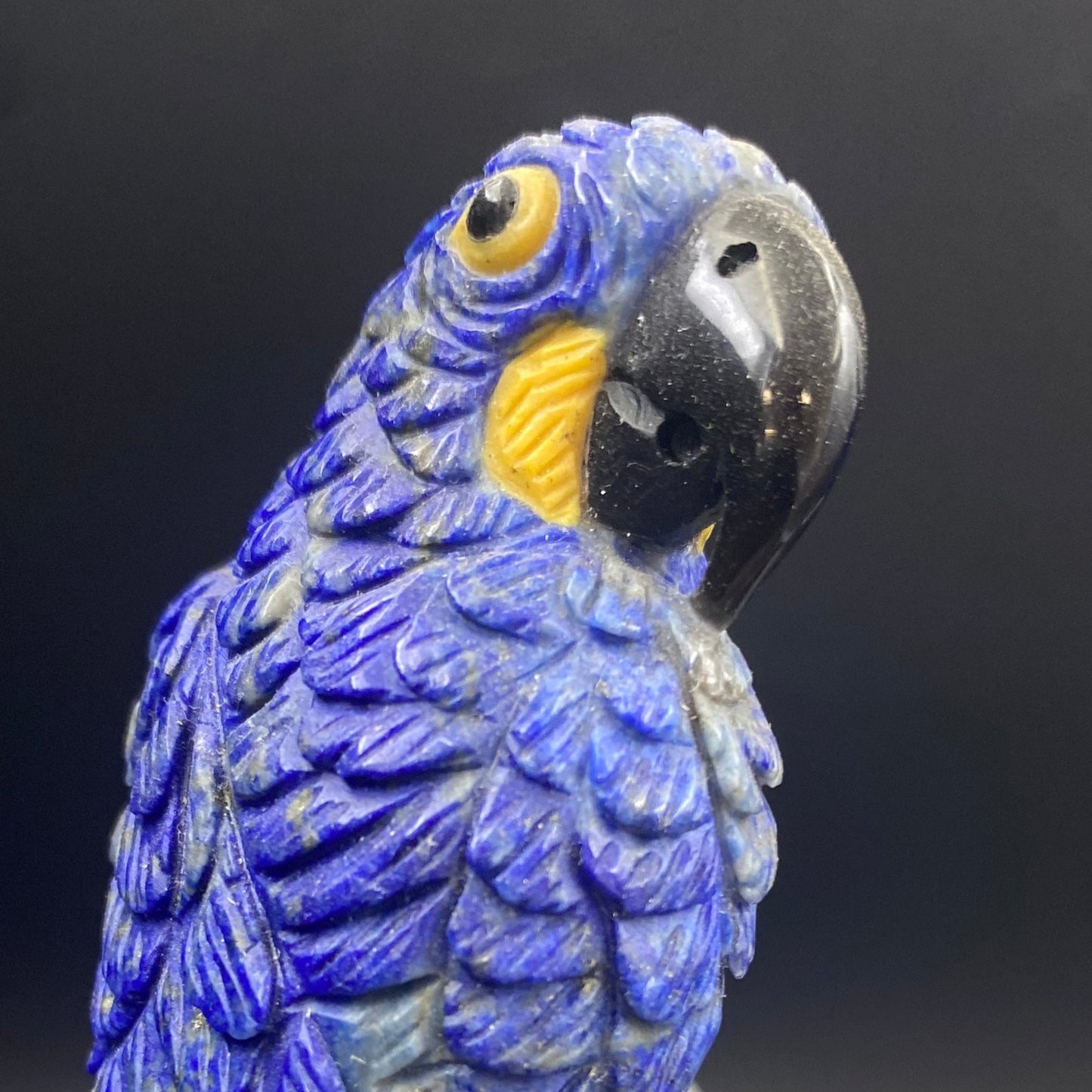 Lapis Lazuli Macaws on Quartz Cluster with wooden Stand