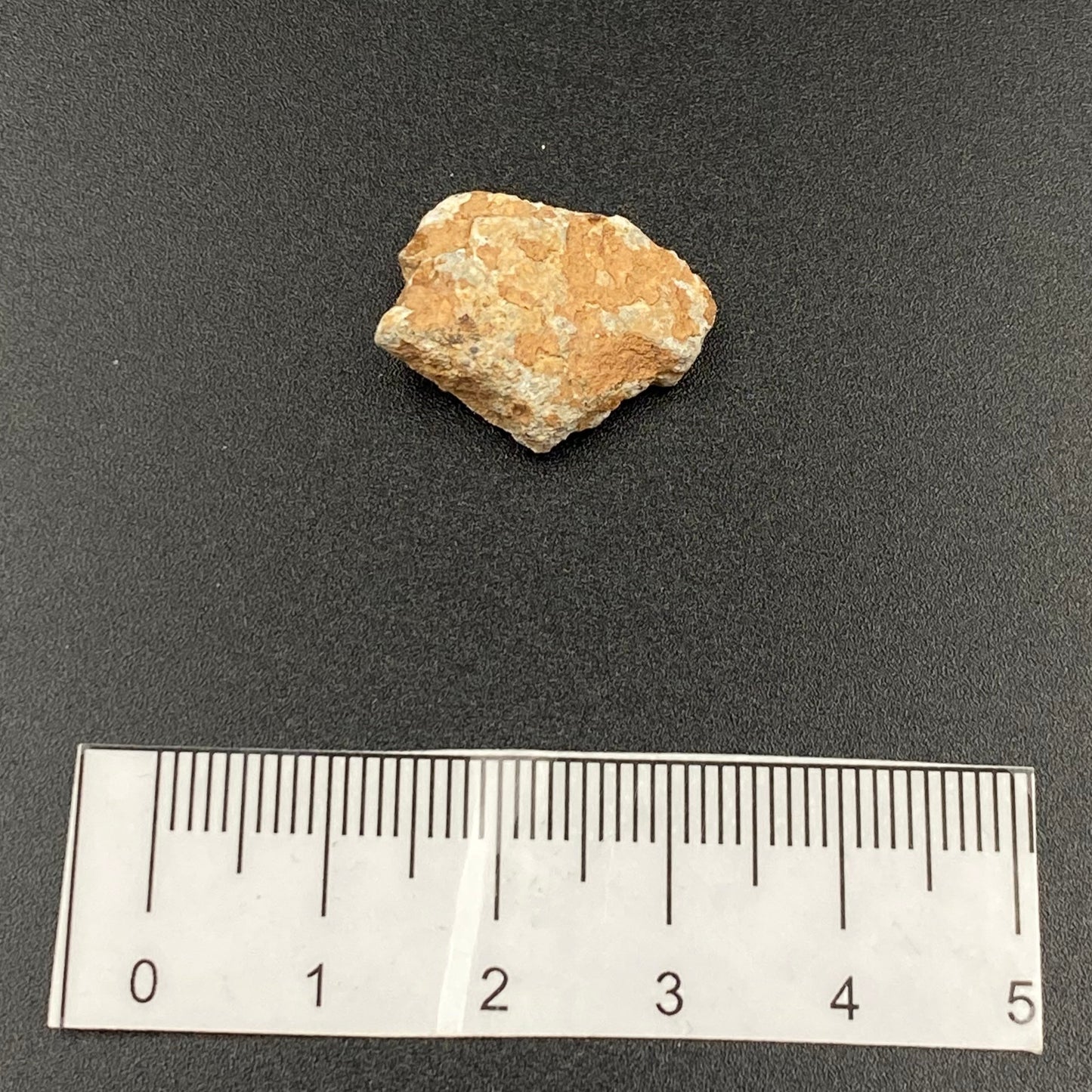 Lunar Meteorite