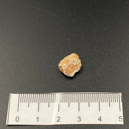 Lunar Meteorite