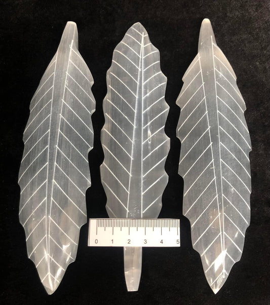 SELENITE LEAF