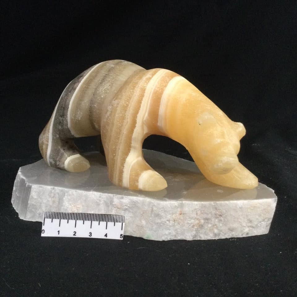 Zebra Aragonite Polar Bear on Selenite TV Rock