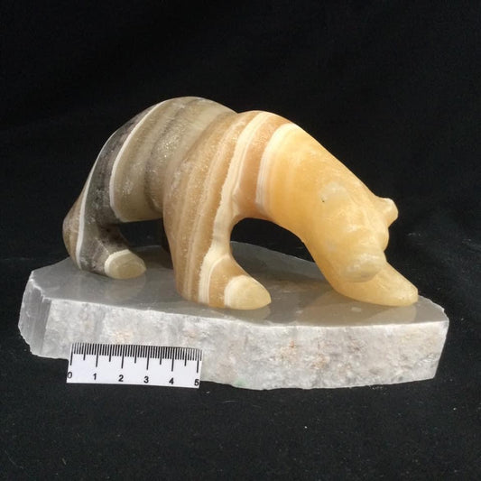 Zebra Aragonite Polar Bear on Selenite TV Rock