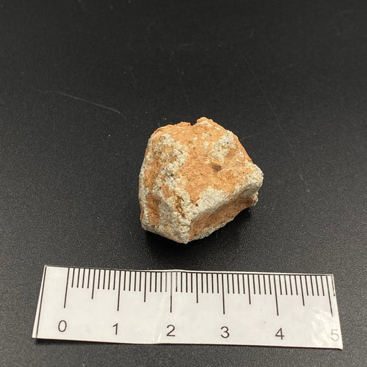 Lunar Meteorite