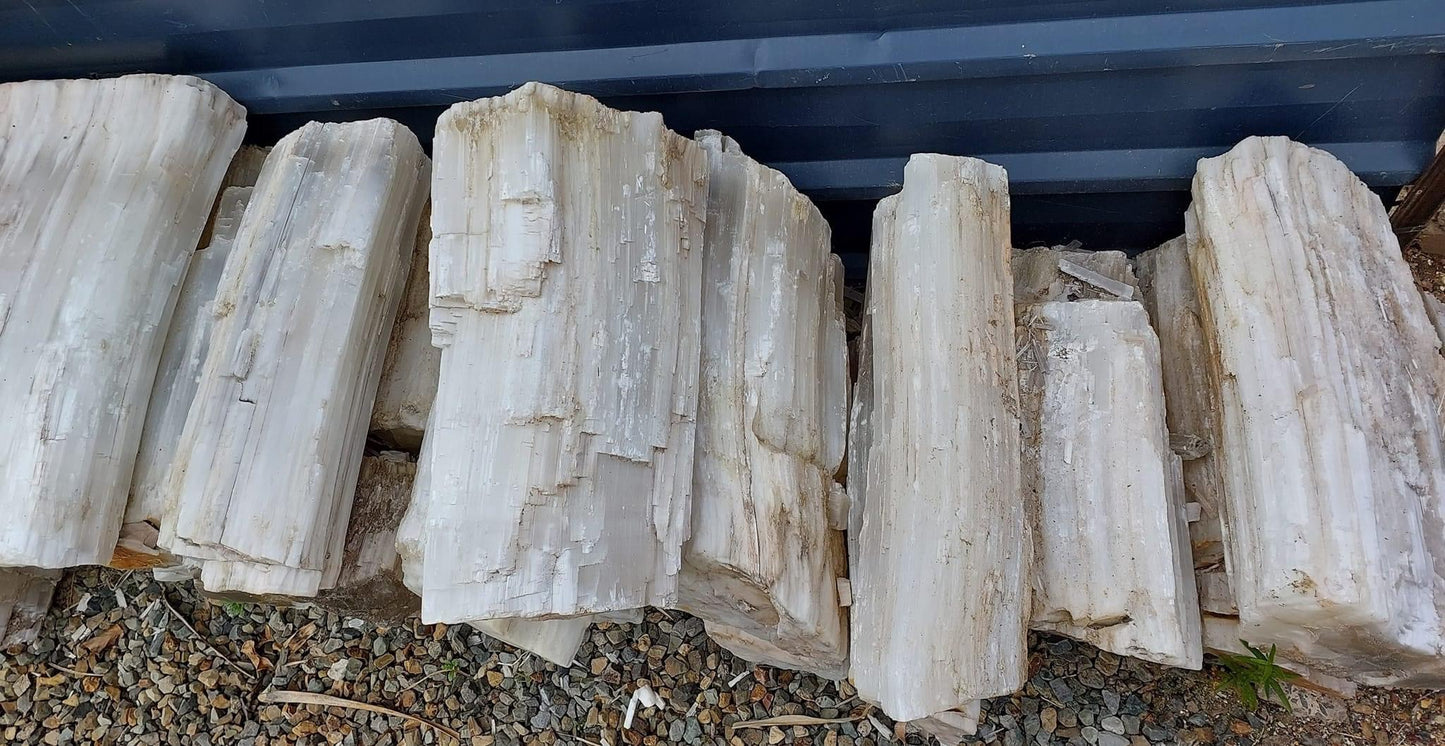 Selenite Rough Logs - 5kg