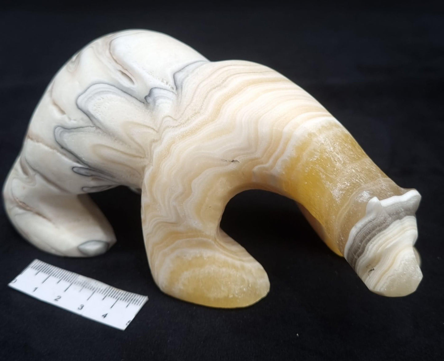 Zebra Onyx Polar Bear