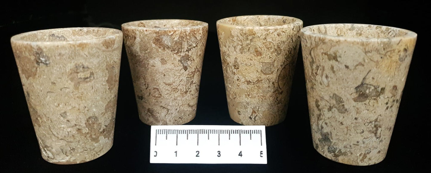 Fossil Coral Shot Glasses