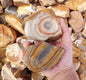 Chert Nodules Rough - 5kg