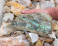 Variscite Rough Rock - 1kg