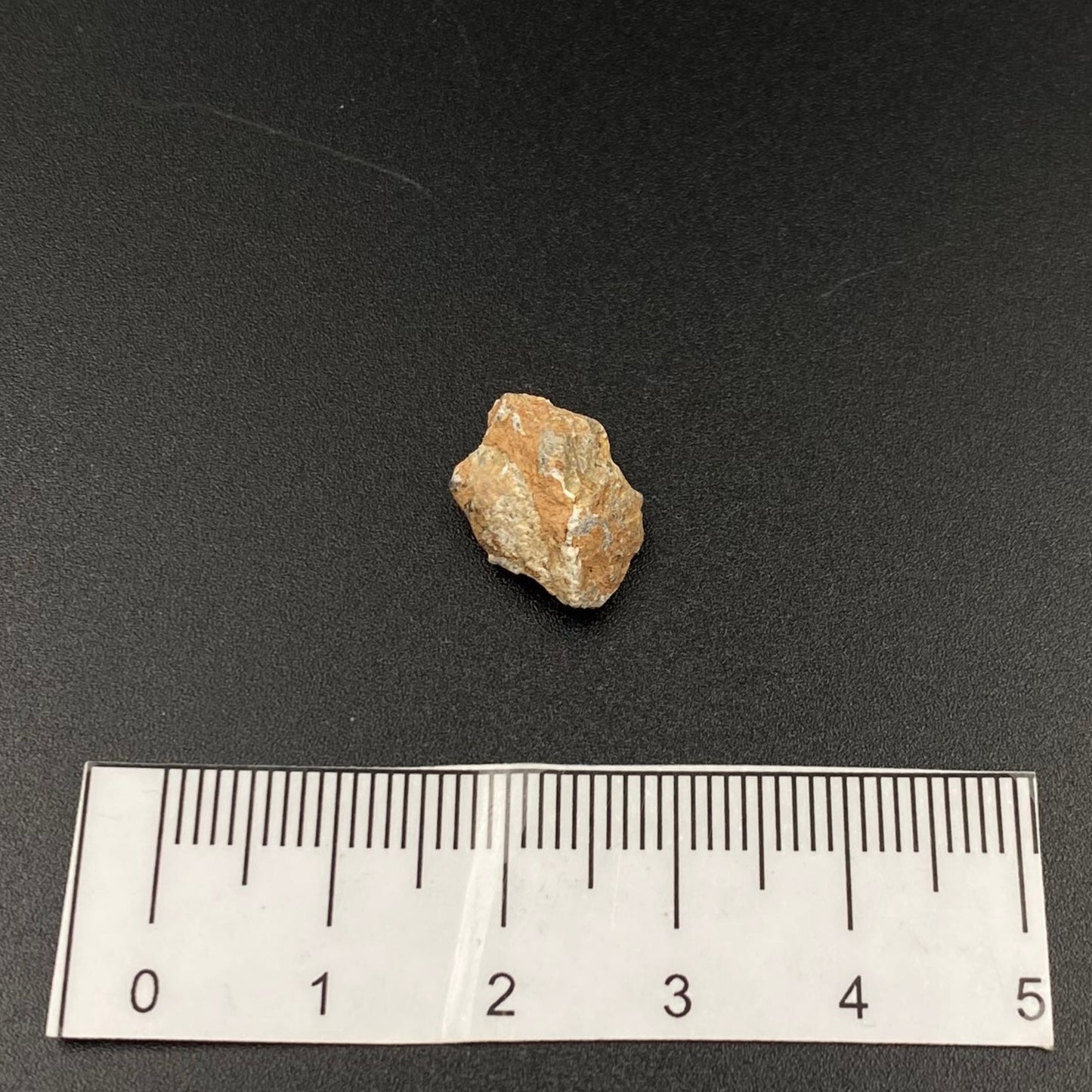 Lunar Meteorite