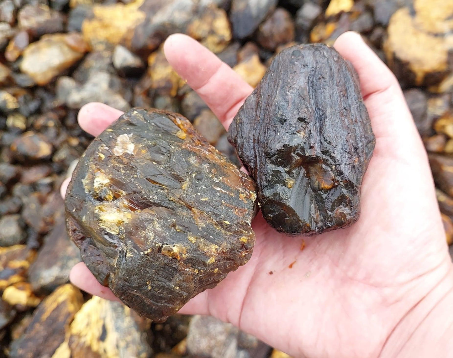 Amber Natural Form