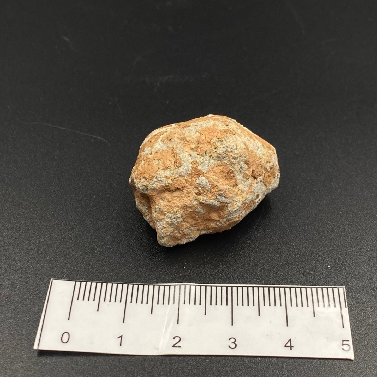 Lunar Meteorite