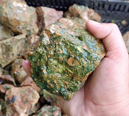 Rainforest Jasper Rough Rock - 3kg