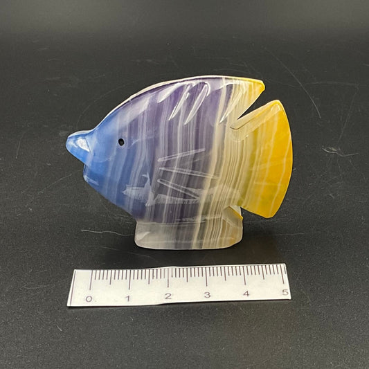 Blue, Purple and Yellow White Onyx Fish