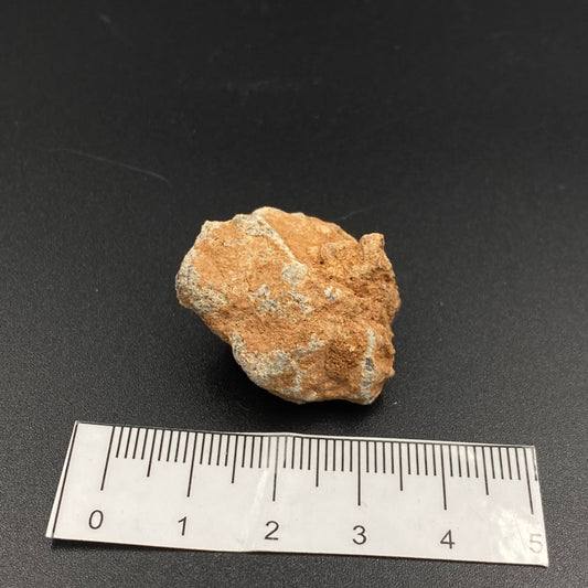 Lunar Meteorite
