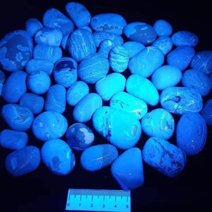 Blue Amber Tumbles