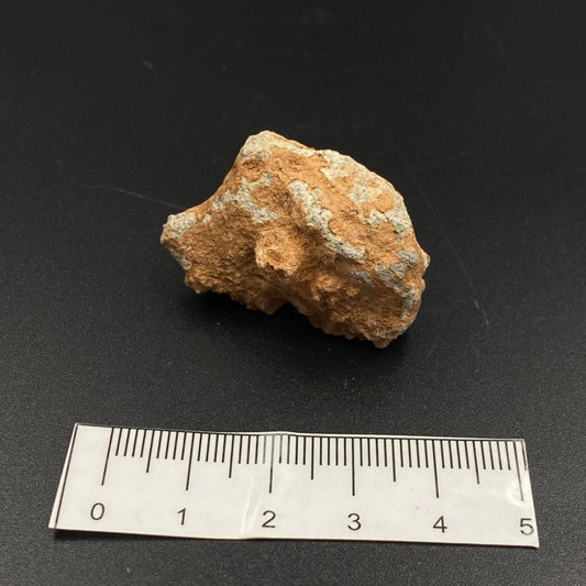 Lunar Meteorite