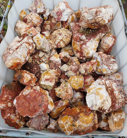 Egg Mookaite - 3kg
