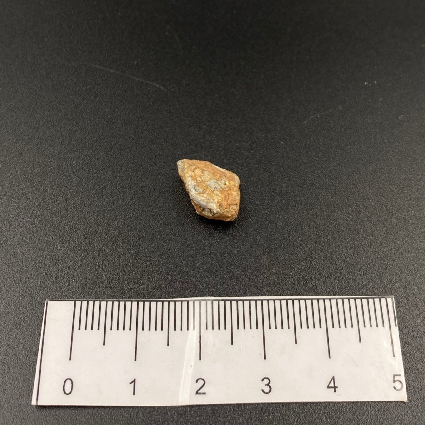 Lunar Meteorite