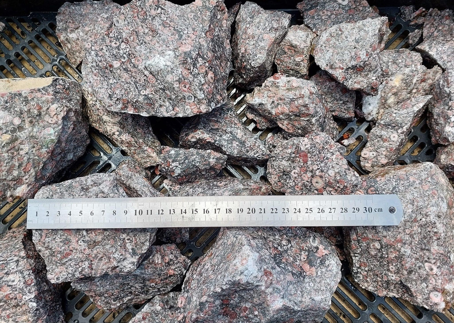 Crinoidal Marble Rough Rock - 1kg