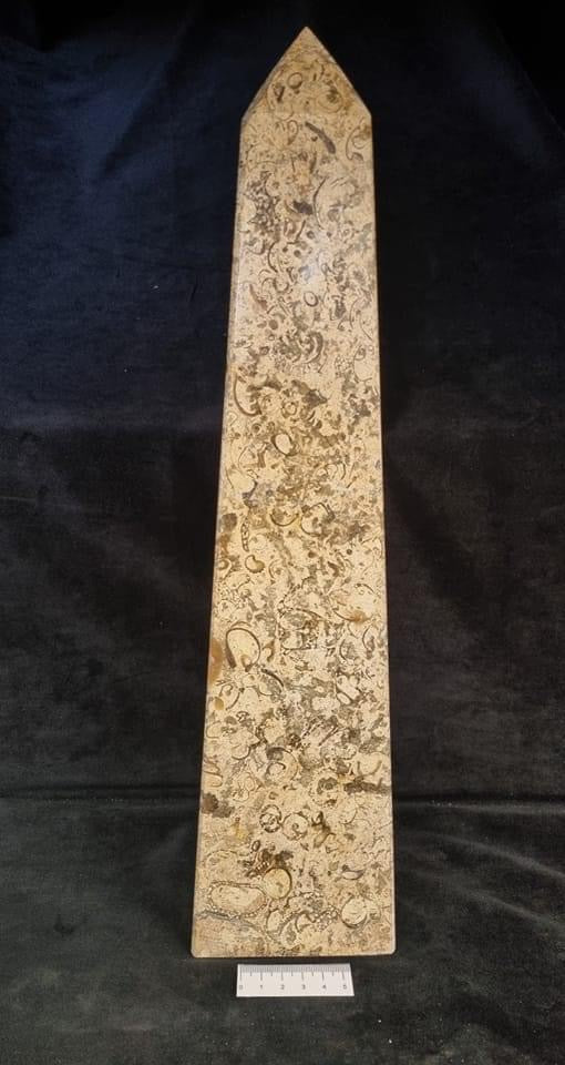 Fossil Coral Tower