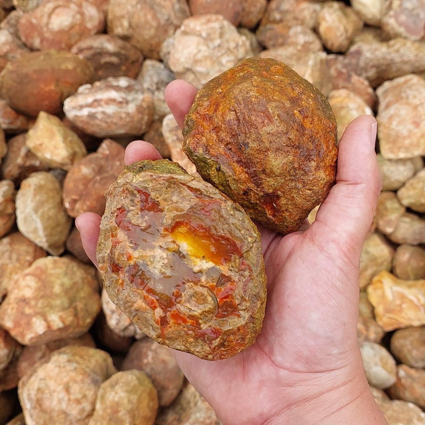 Thunder Egg (Type A) Rough Rock - 3kg